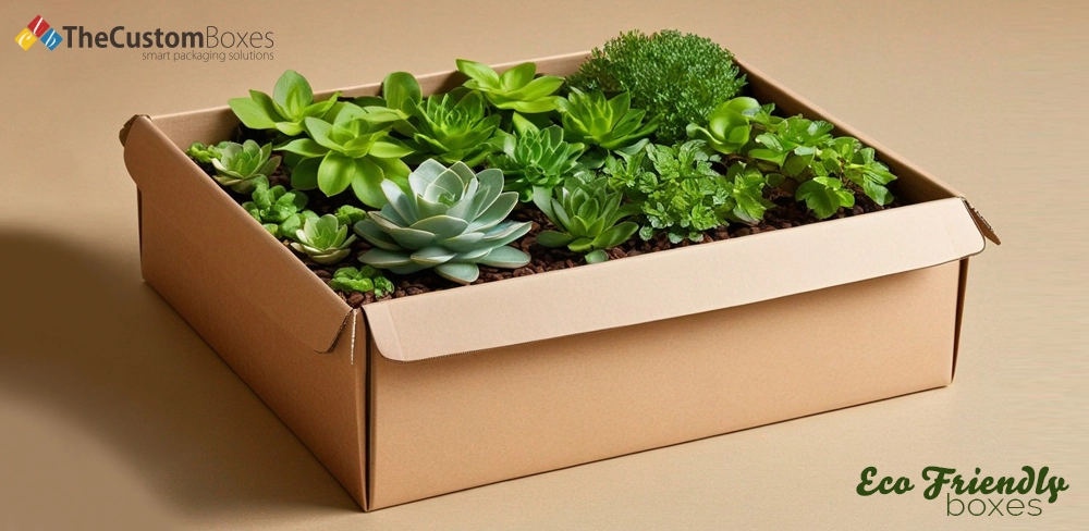 From Innovation To Revolution Every Success Story Lies in Eco Friendly Boxes